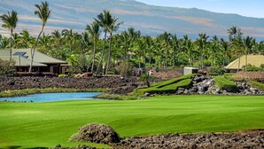Campo de golf con un estanque, palmeras y casas al fondo.