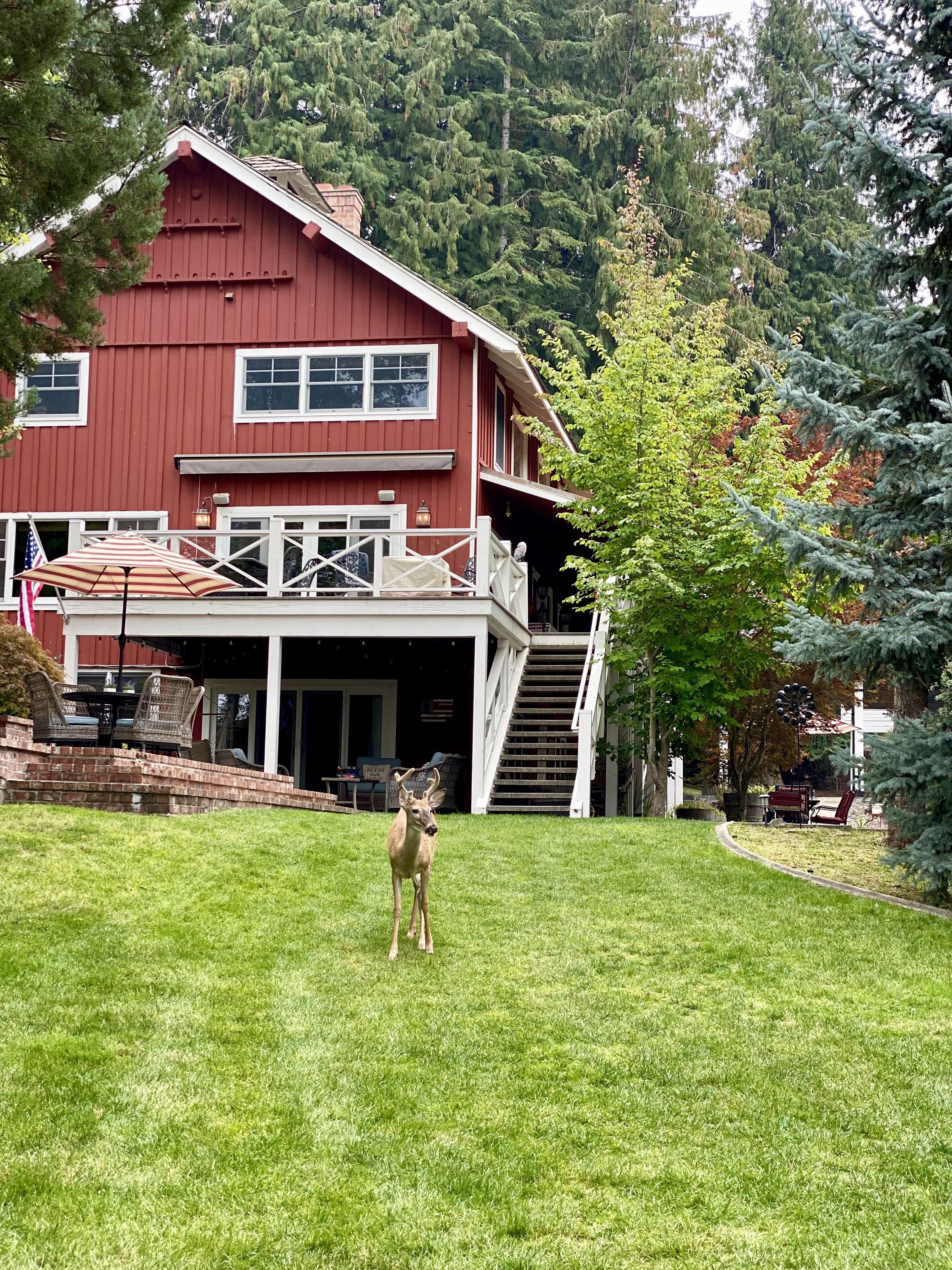 Ein rotes Haus mit überdachter Veranda und einem Reh im Vorgarten.