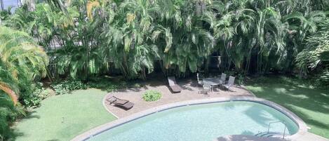 屋外プール、温水プール