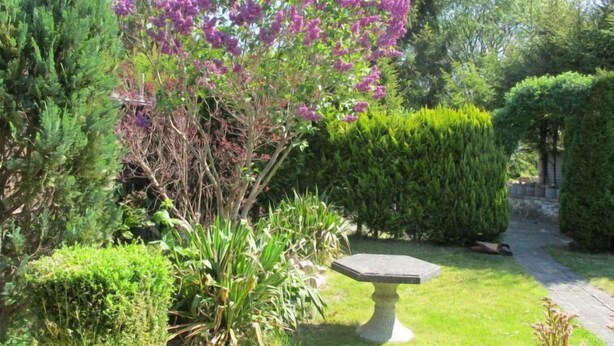 Un jardín con diversas plantas, un lavadero de piedra para pájaros y un seto bien recortado.