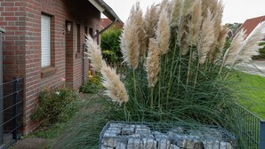 Una casa de ladrillo con cerca metálica y pastos del pampa en el jardín delantero.