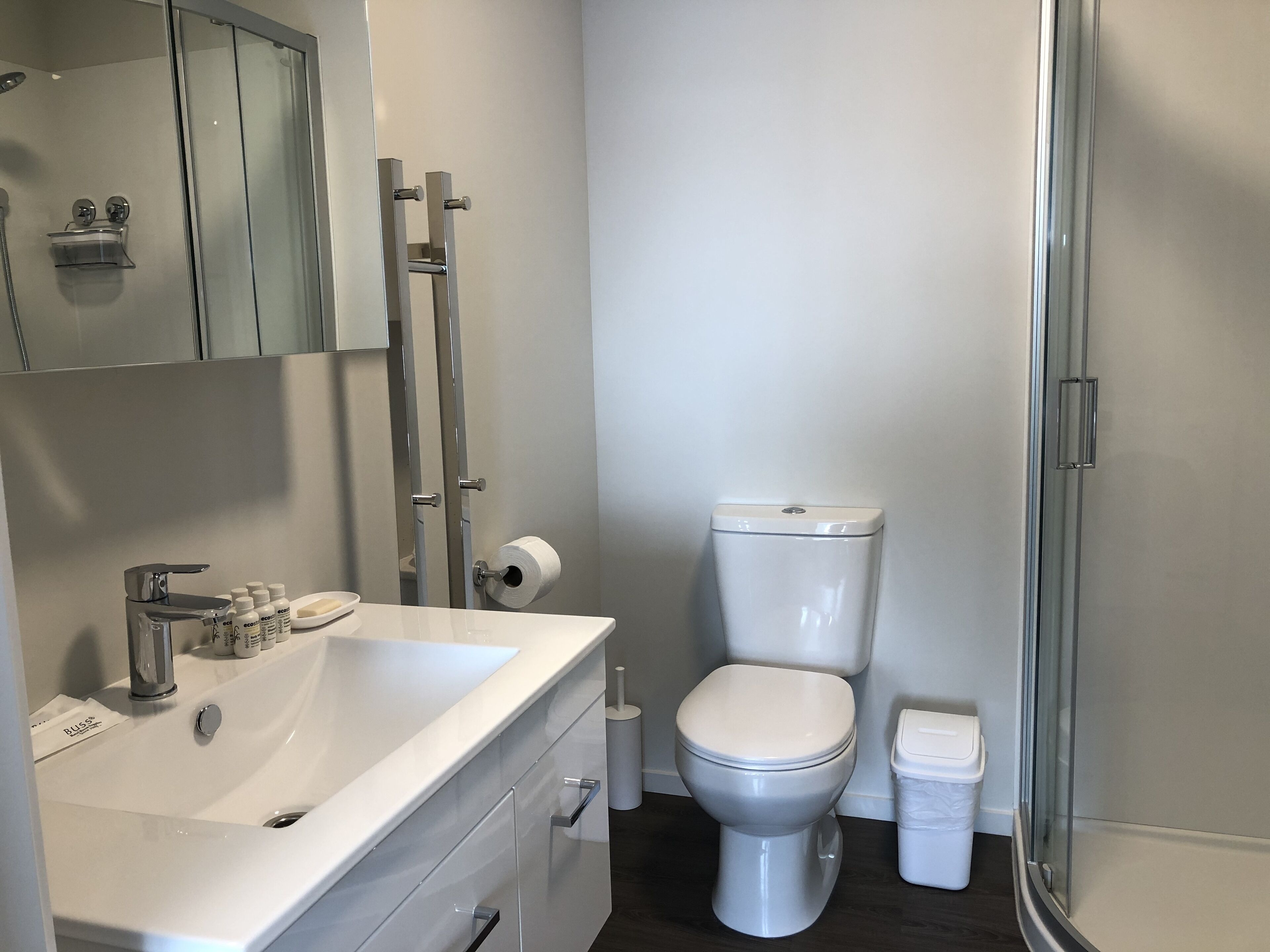 Shower, hair dryer, slippers, towels