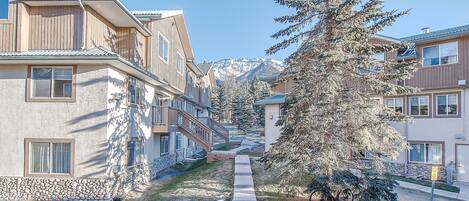A residential area with modern buildings, a snow-covered tree, and a mountain backdrop.