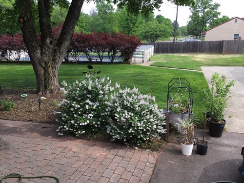 Super Comfortable studio apartment in Central NJ close to EVERYTHING