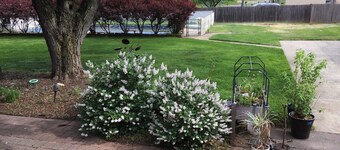 Super Comfortable studio apartment in Central NJ close to EVERYTHING