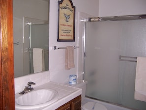 Combined shower/tub, hair dryer, towels