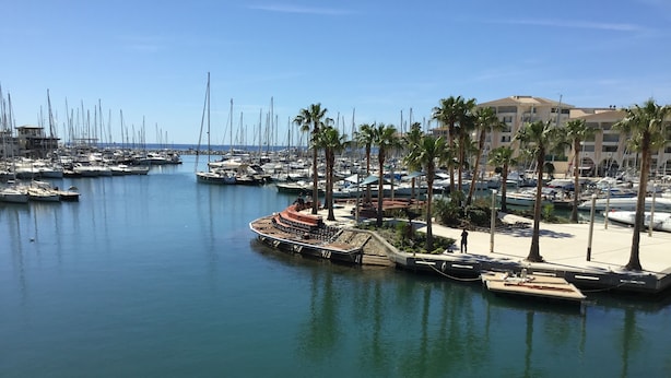 A marina with multiple boats docked, a palm tree-lined promenade, and a building in the background. - Mistral Gagnant (Fréjus)