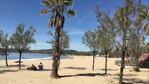 A sandy beach with palm trees and a clear blue sky. - Mistral Gagnant (Fréjus)
