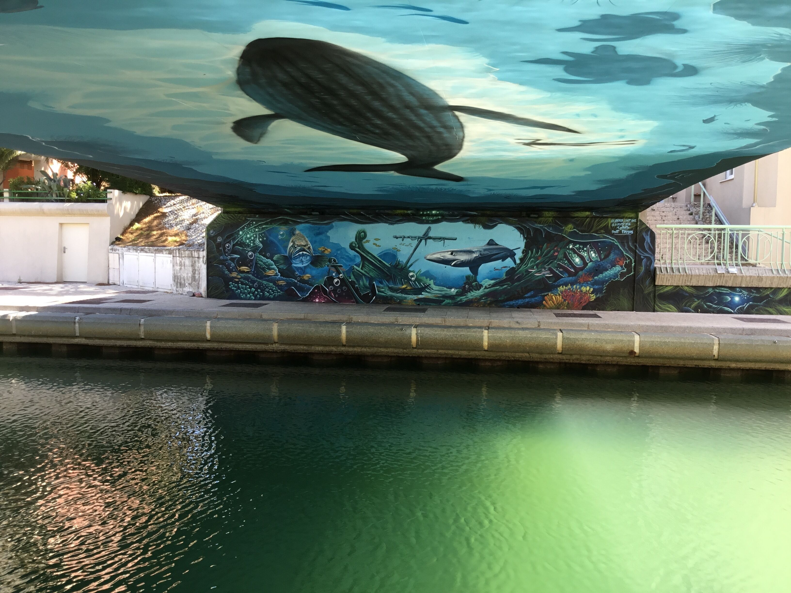 A mural of an underwater scene with fish and a whale, above a pool.