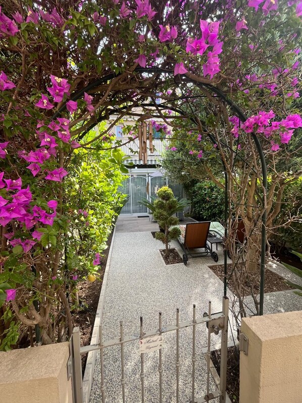 Un sentier de jardin bordé de bougainvilliers, avec un petit arbre et un banc.