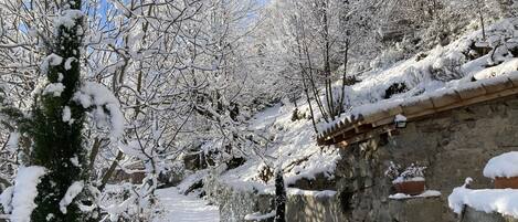 Áreas de la propiedad