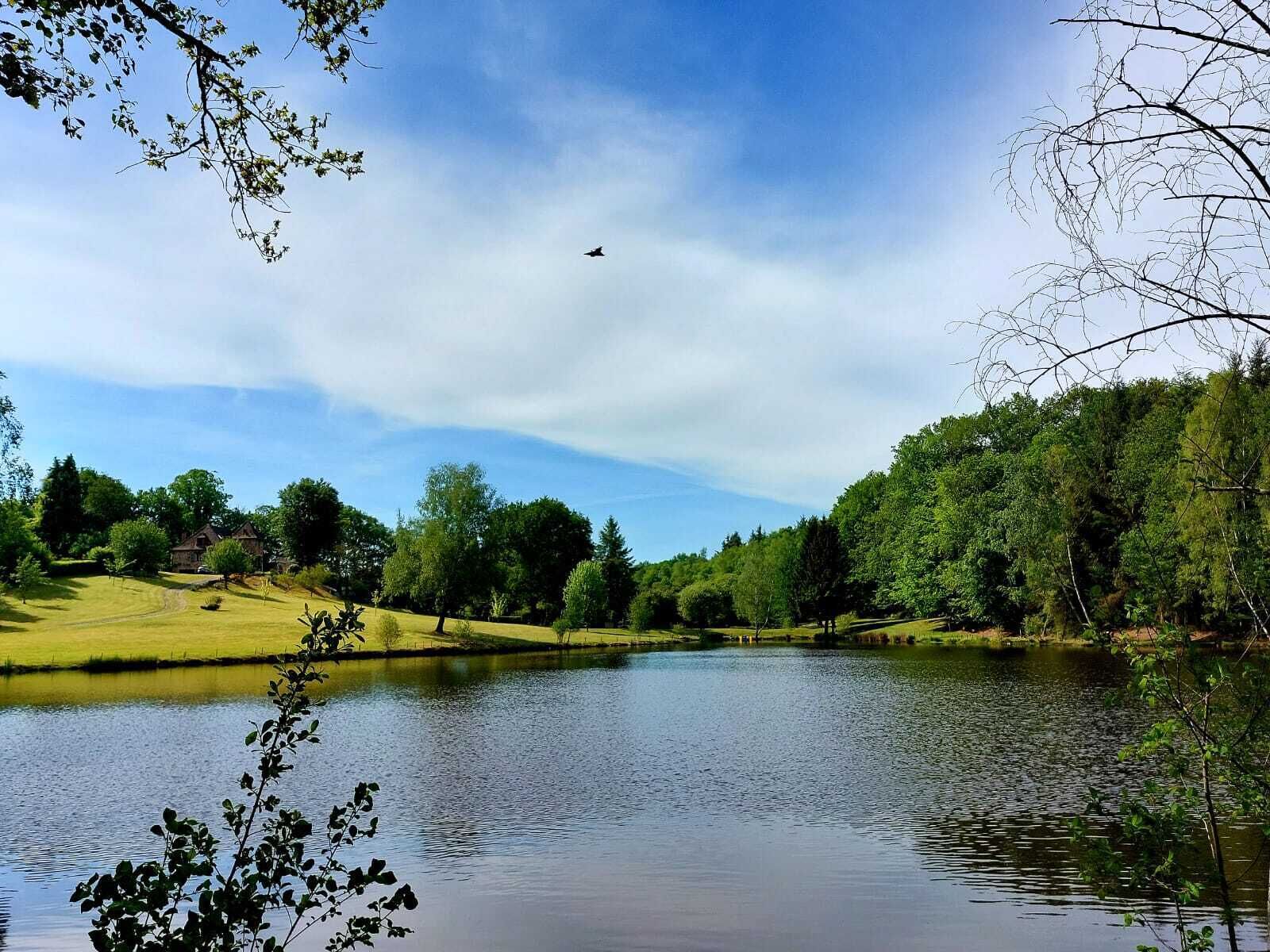 Un paisaje sereno con un lago, árboles y un avión a lo lejos.