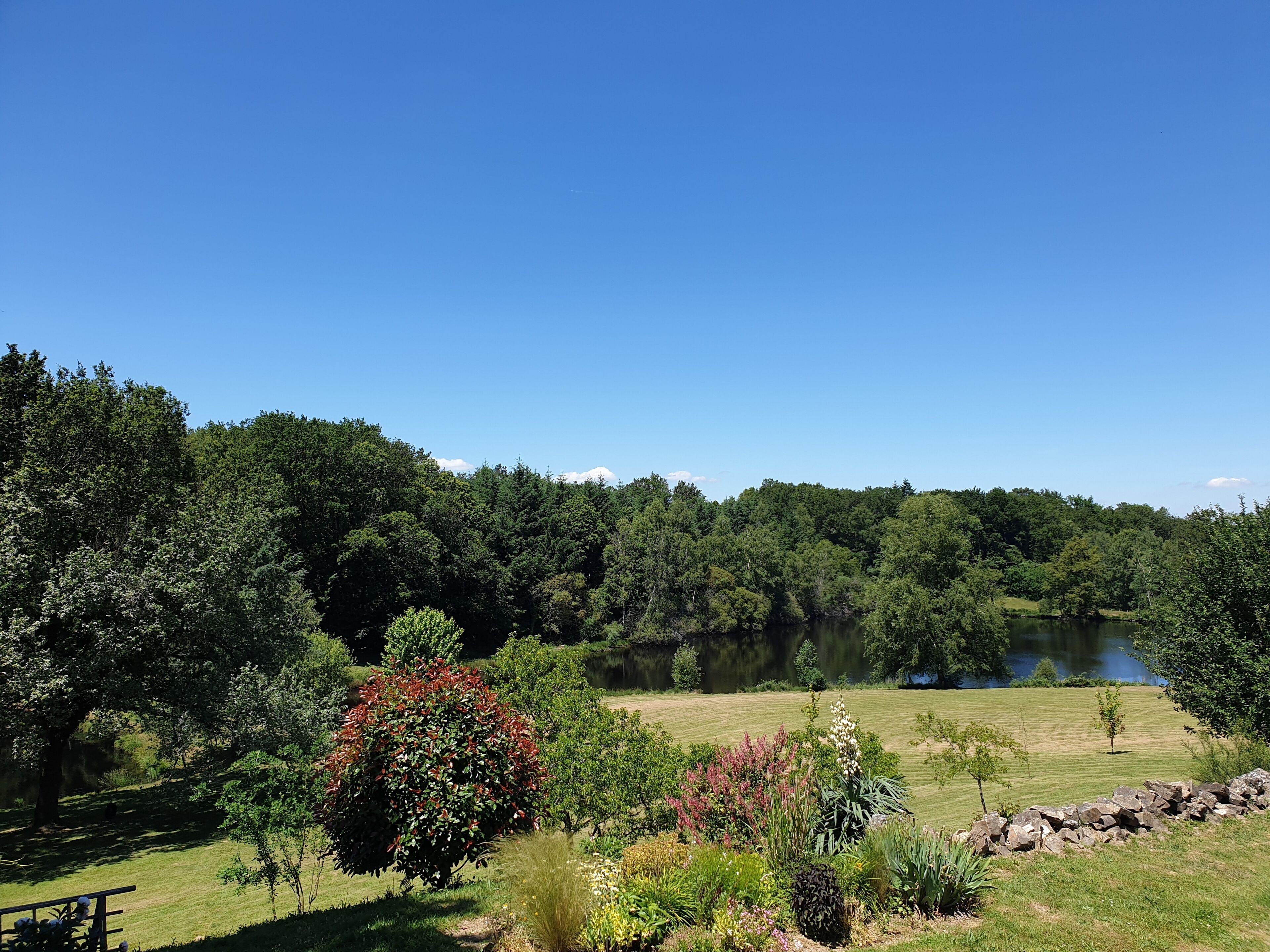 A serene lakeside landscape with a variety of trees and shrubs, a clear blue sky, and a calm body of water.