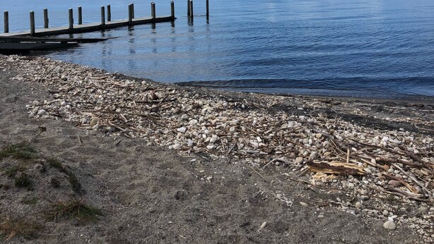 A calm lake with a wooden dock extending into the water, surrounded by a rocky shoreline with sparse vegetation.