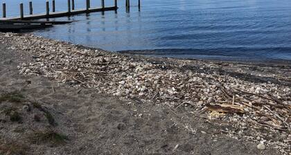 Lake Taupo- Whareroa Village, sit on the deck enjoy the view.