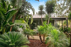 A tropical garden with various plants, a building with a sloped roof, and a gravel pathway.