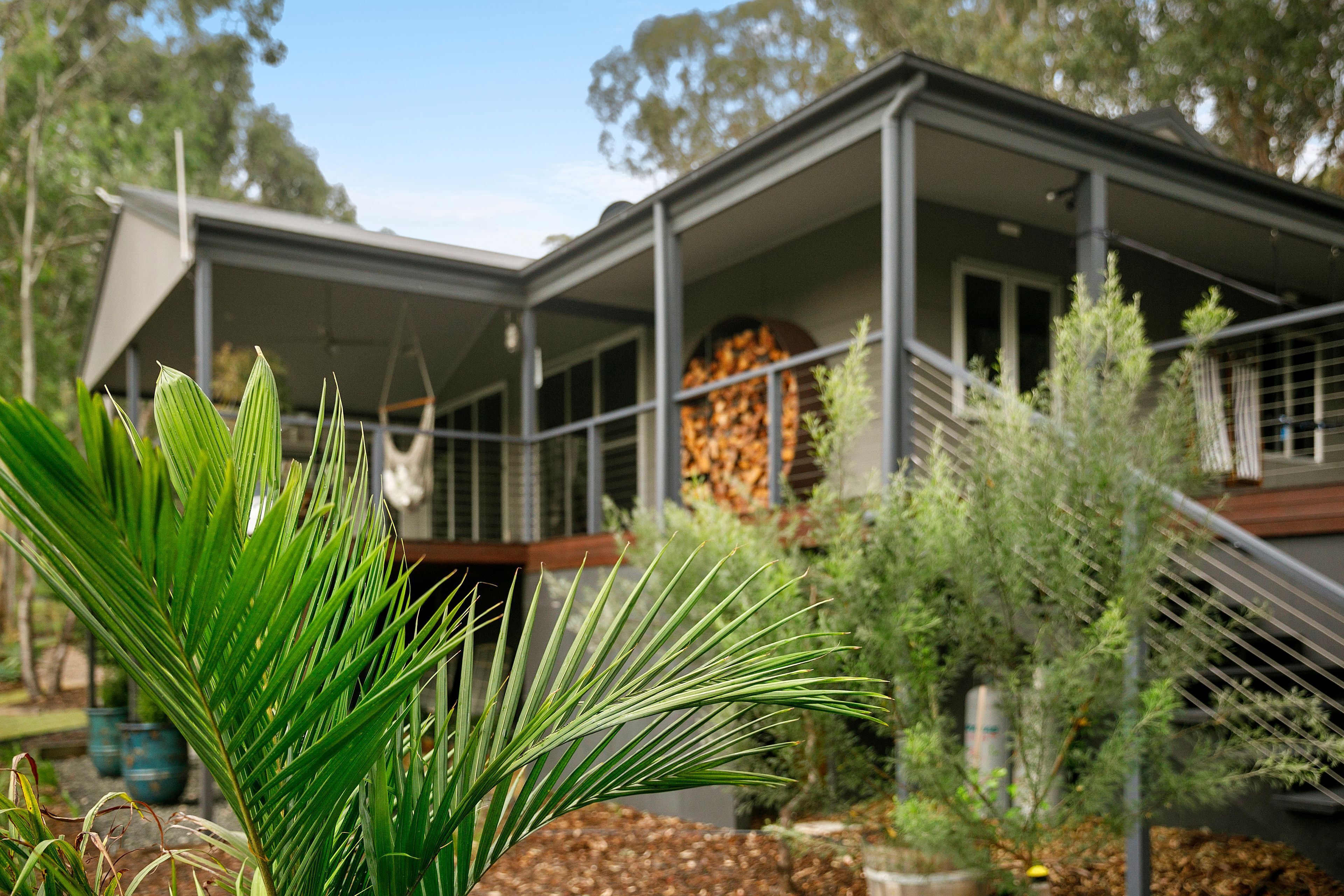 A modern house with a large glass window, surrounded by various plants and trees.