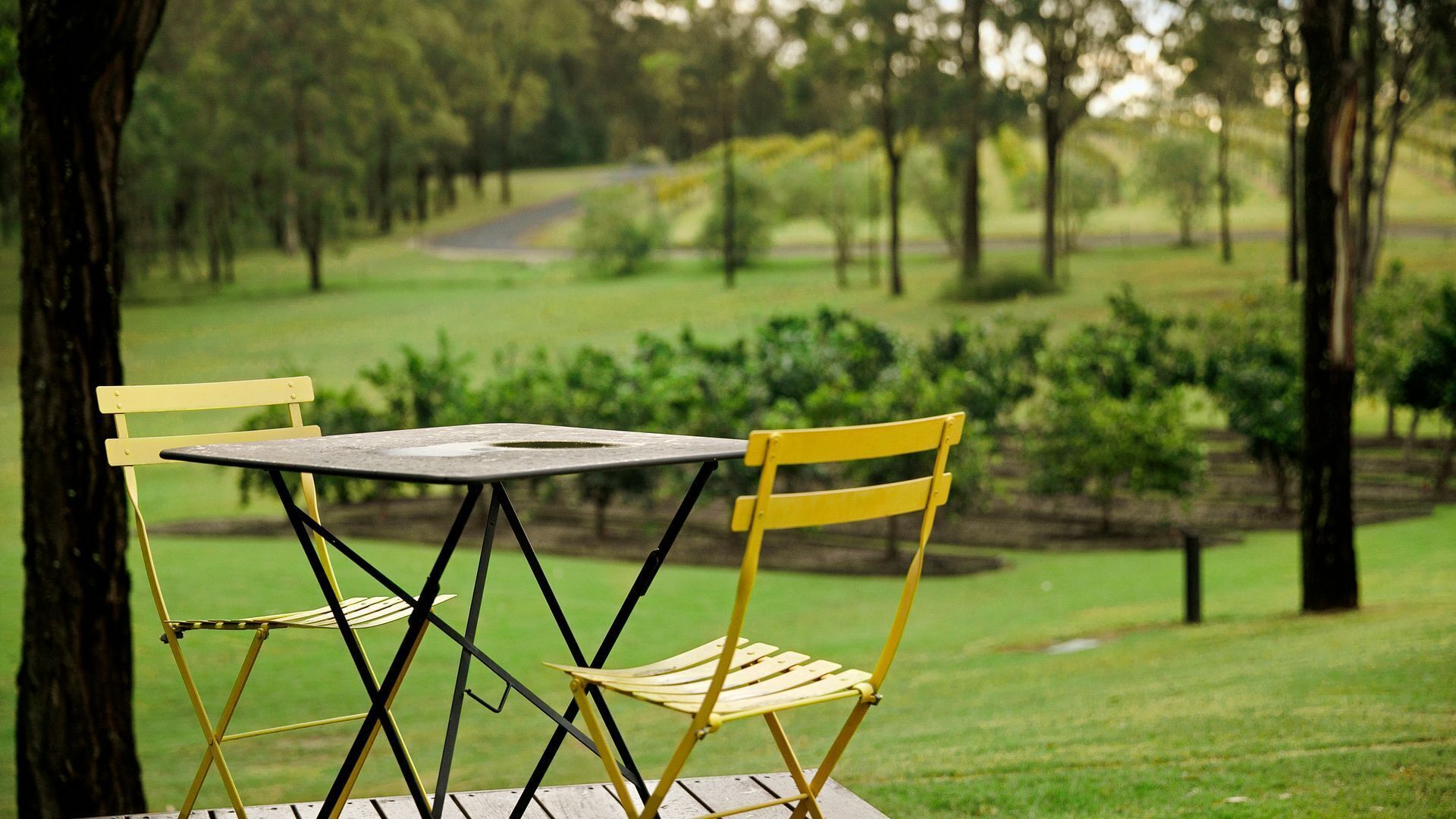 Fig Tree Luxury Guest House — image 22