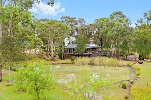 Property grounds - Fig Tree Guest House (Pokolbin)