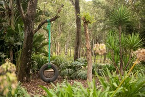 A forested area with a tire swing hanging from a tree.
