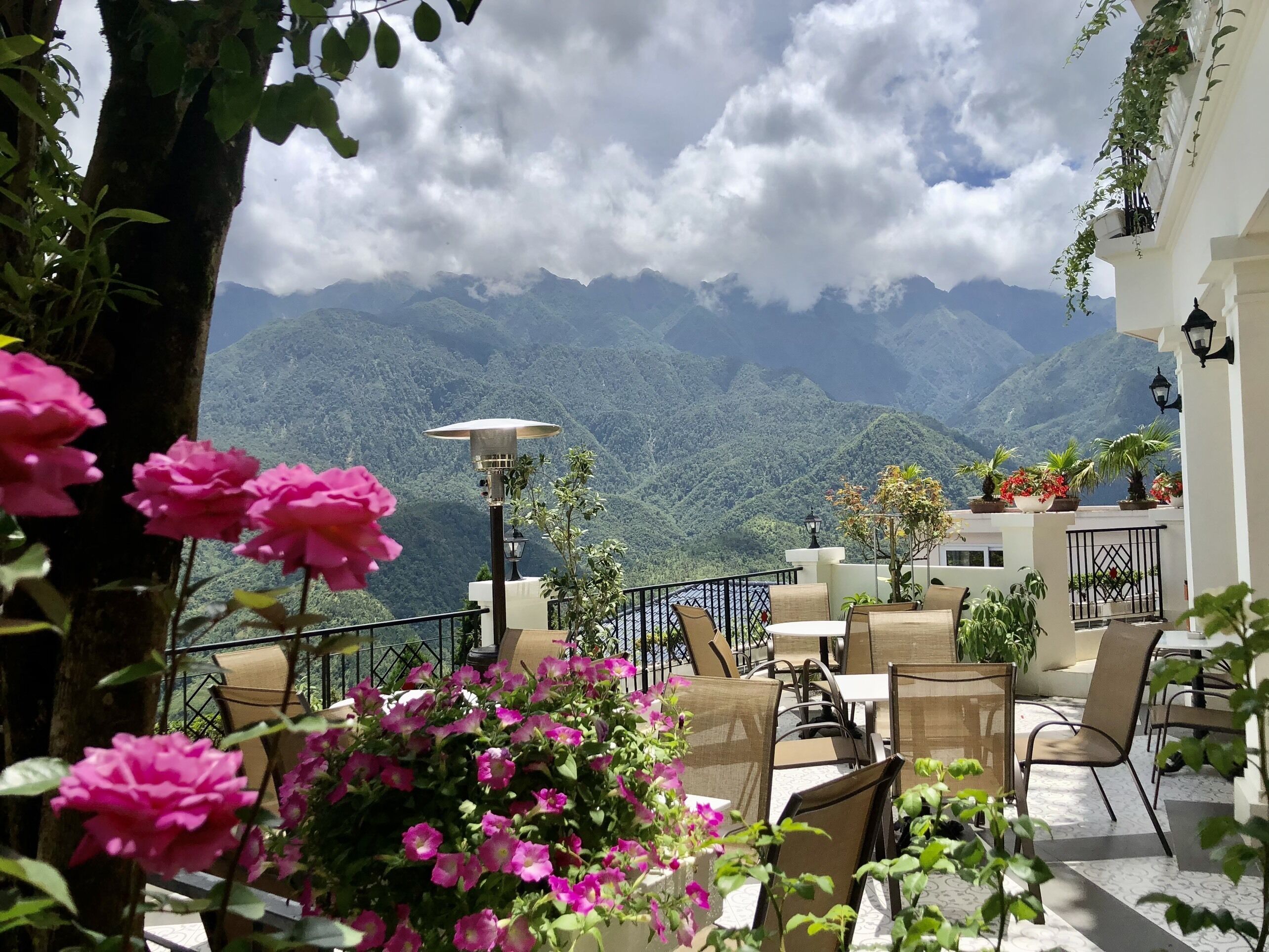 Breakfast, lunch and dinner served