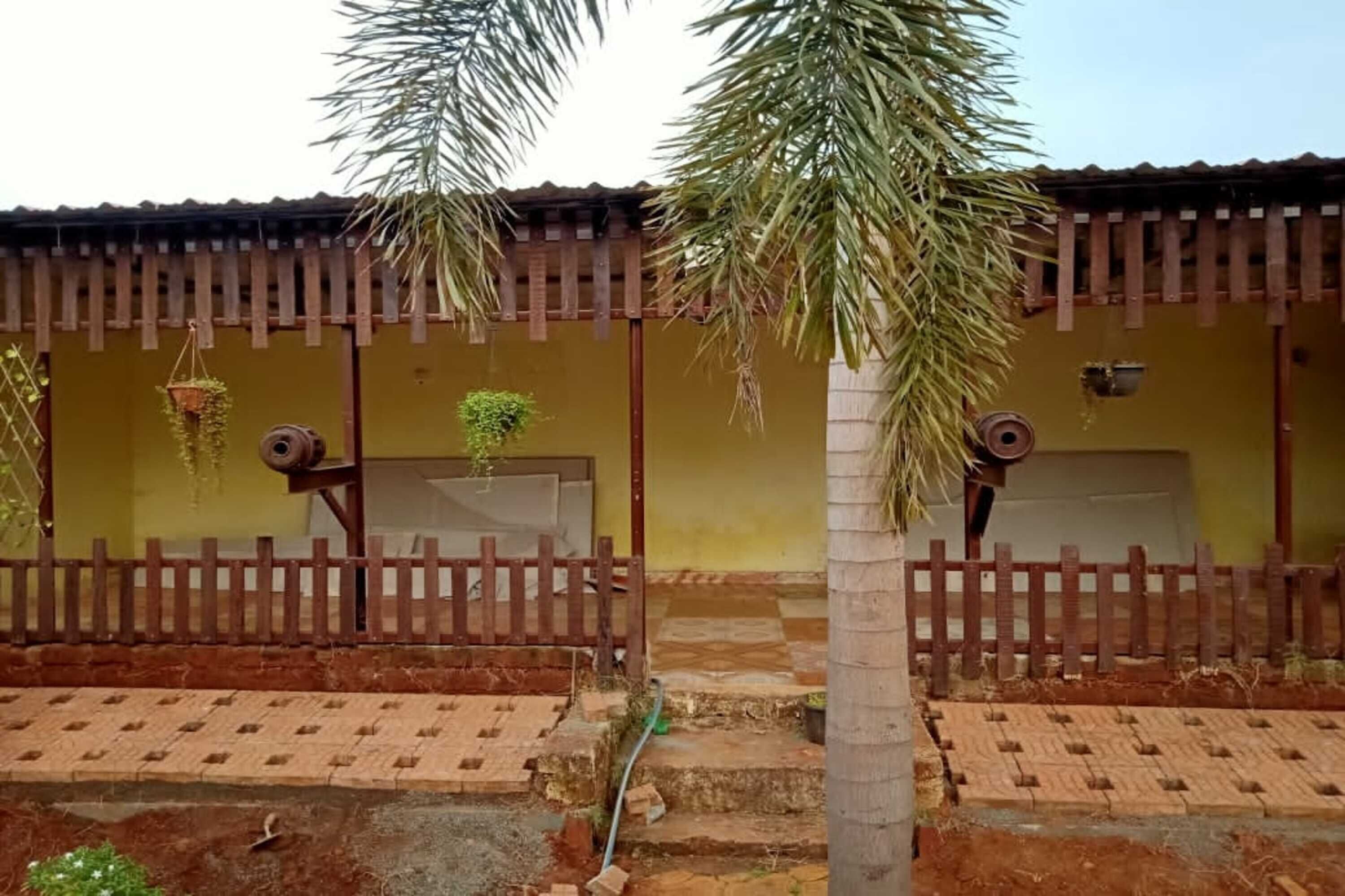 A courtyard with a wooden fence, a palm tree, and a building with a tiled roof.