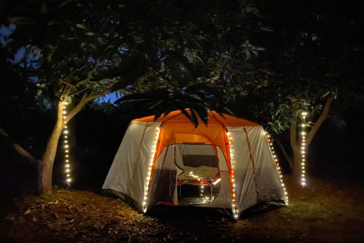 Een tent met een duidelijke opening, omringd door bomen en verlicht met lichtslingers.