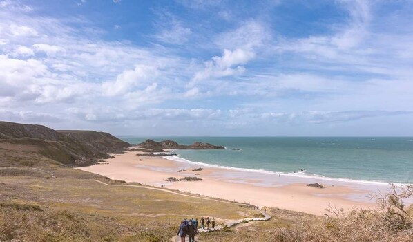 Playa en los alrededores y camastros