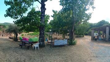 Ărea da propriedade