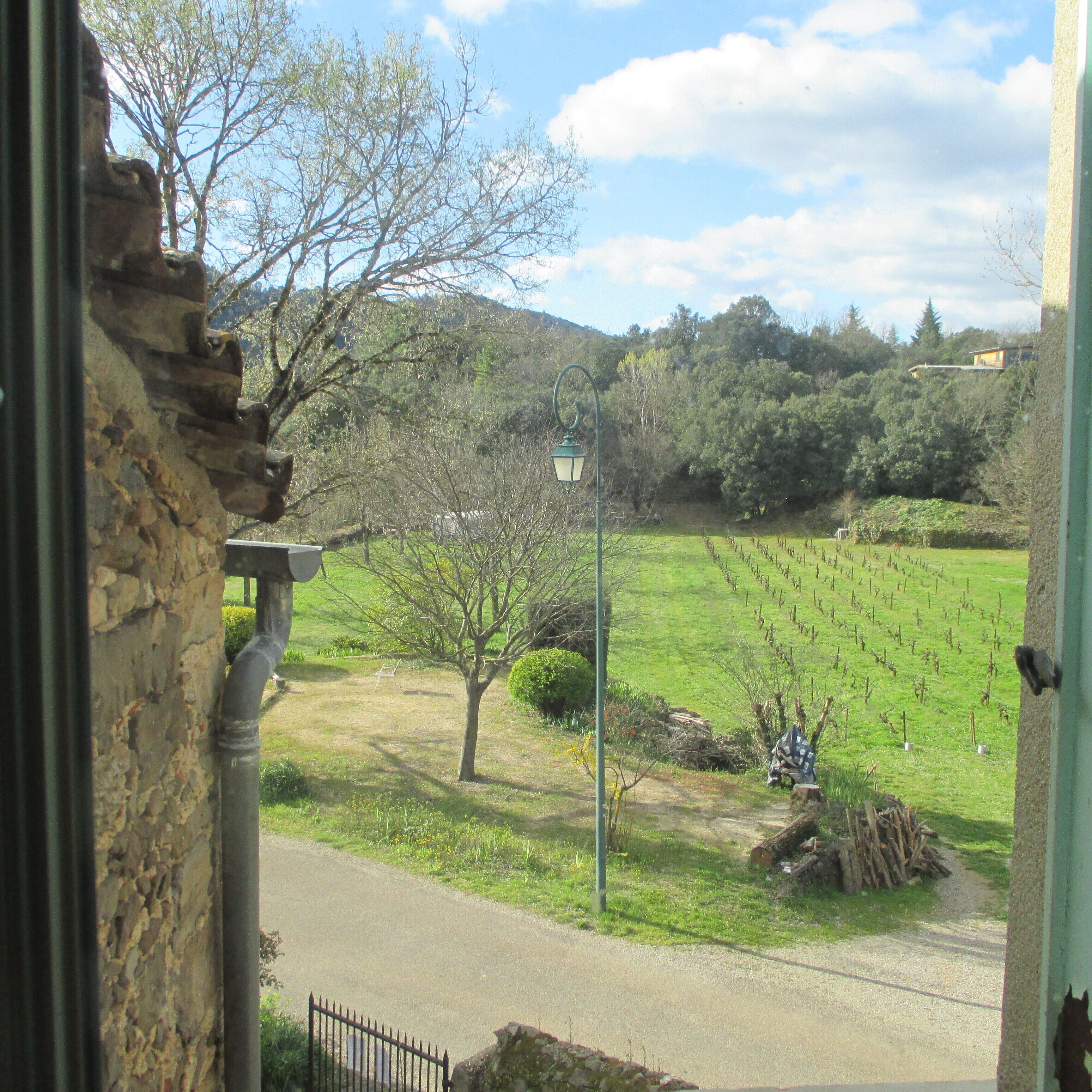 Overnatningsstedets område