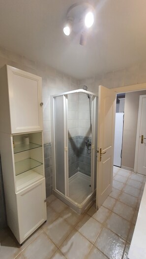 Shower, hair dryer, bidet, towels