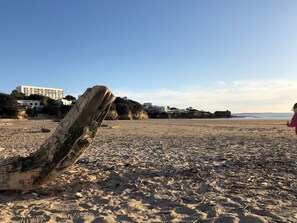 A sandy beach with a large driftwood piece in the foreground, buildings in the background, and a clear sky.