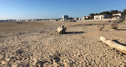 Maison Entiere 200 M² 12/15 Pers. Piscine Privee- 400m Plage Royan Parc - Calme