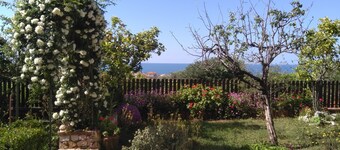 Appartment Lavigna Fully Furnished