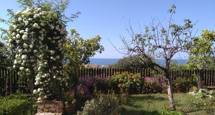 Appartment Lavigna Fully Furnished