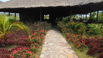 Khuôn viên nơi lưu trú