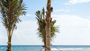 Una playa con palmeras, luces colgantes y un paraguas de paja.