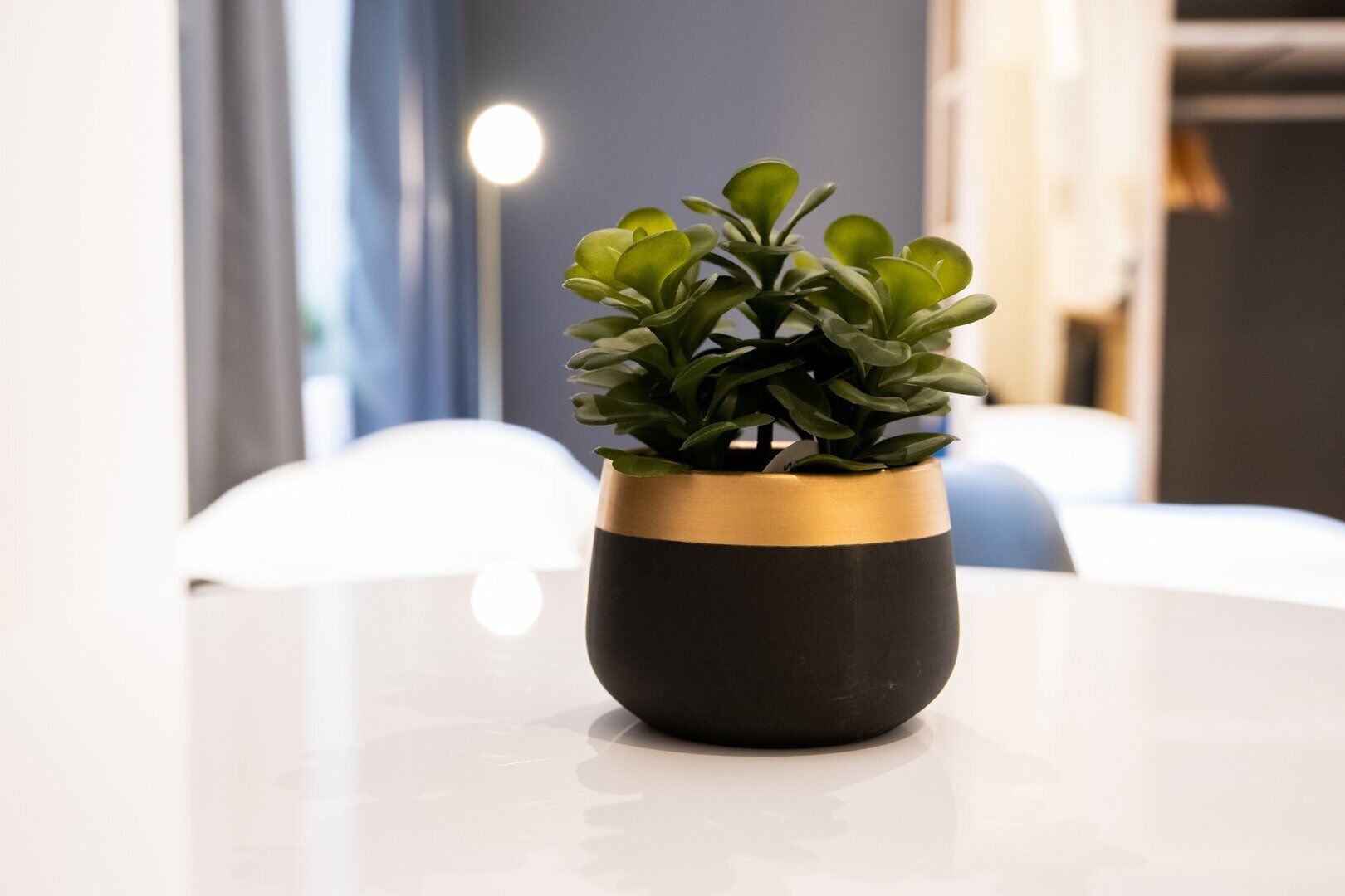 Détail de l’intérieur