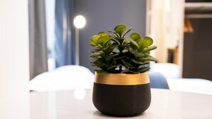 Una planta en maceta sobre una mesa blanca en una habitación moderna con una lámpara al fondo.