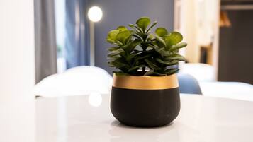 Détail de l’intérieur