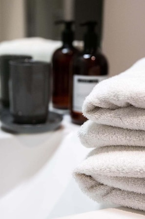 Shower, hair dryer, towels