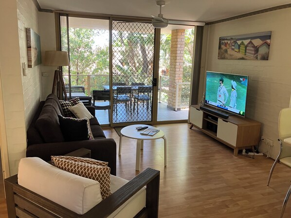 TV, DVD player, books, video library