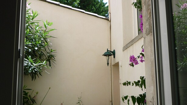 Une petite terrasse avec une table et des chaises, entourée de plantes en pot et d’un mur couvert de plantes grimpantes.