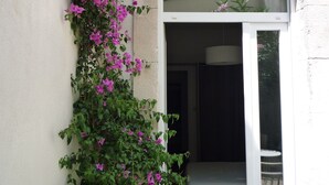 Un bougainvillier en pot, avec une porte-fenêtre coulissante donnant sur un espace intérieur.