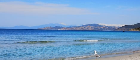 Una spiaggia nelle vicinanze