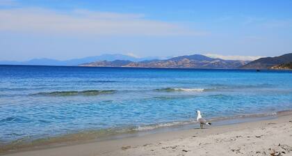 Appartement T2, VUE Mer, 4 Personnes