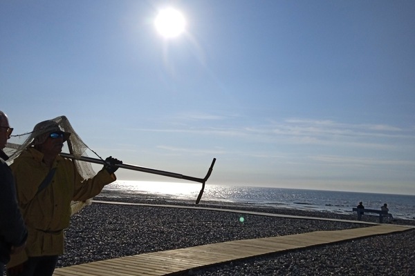 Strand