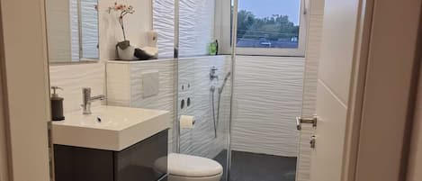 Shower, hair dryer, towels, soap