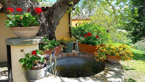 Ein Garten mit einem Wasserspiel, Blumentöpfen und einem Baum.