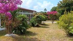 A garden with a glass conservatory, palm trees, and flowering shrubs. - Villa Amandelle - for 6 to 8 persons (Moliets-et-Maa)